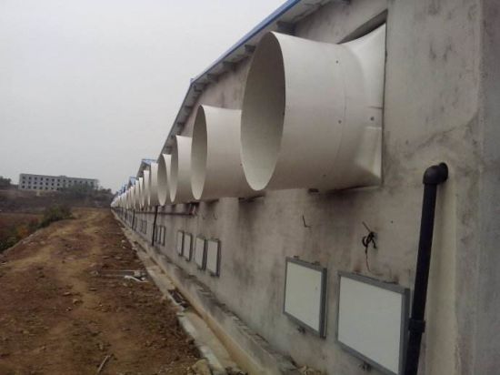 Poultry-fan-pig-barn-fan-farm-fan-farm-cooling-system.jpg